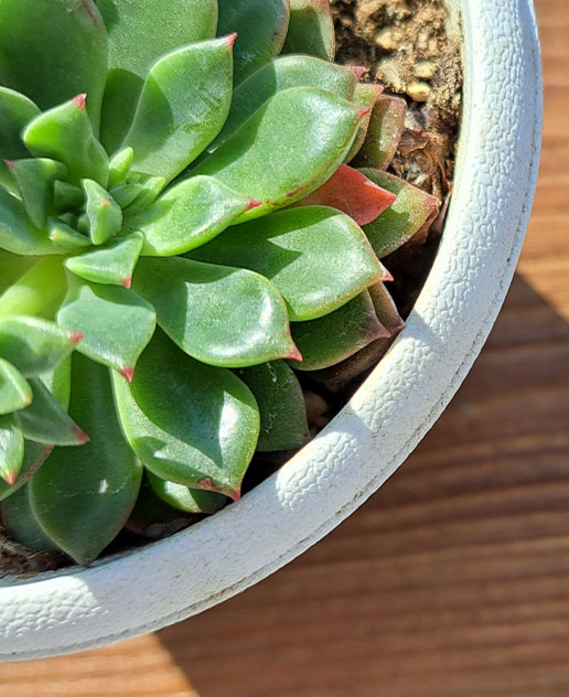 ご挨拶イメージ写真