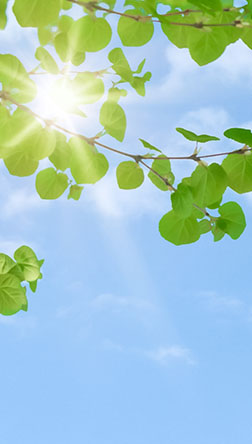 ご挨拶イメージ写真